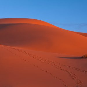 Erg Chebbi,Merzouga Desert, Morocco