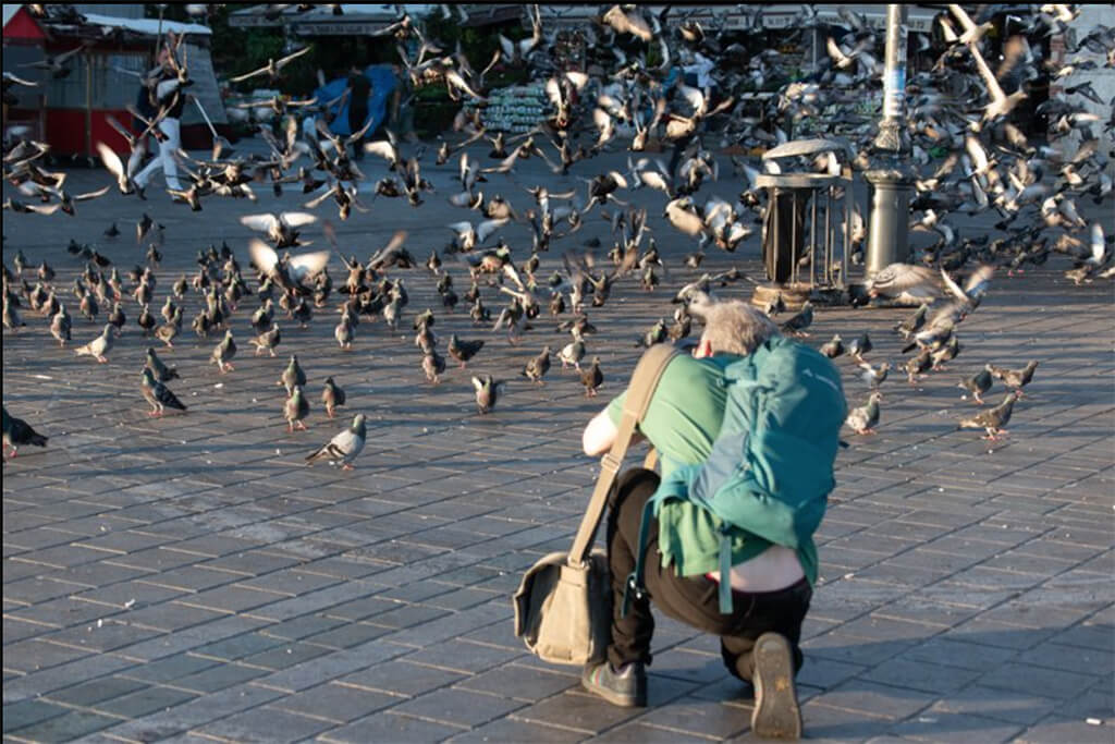 Peter Sandler, İstanbul Fotoğraf Turu sırasında İstanbul'un eski şehir merkezinde güvercinleri fotoğraflarken.